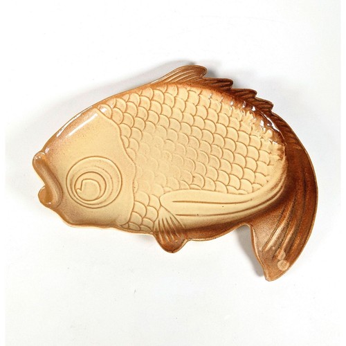 Fancy goldfish koi - fancy,