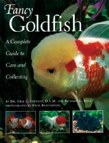 Fancy goldfish complete - fancy, goldfish: