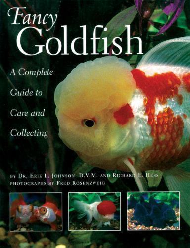 Fancy goldfish complete guide - goldfish:,